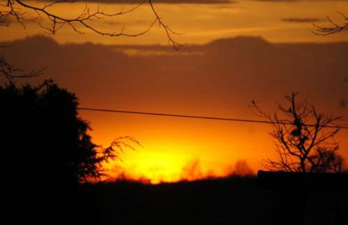 Ferienhof Schwienhorst - Foto 5