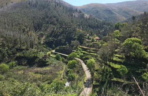 Casa do Volfrâmio - Foto 32