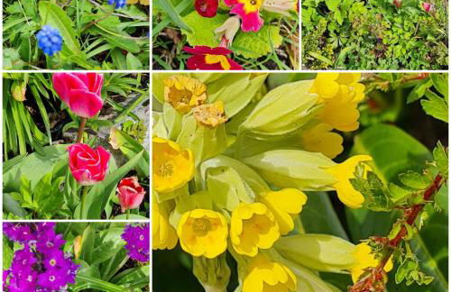 Deeside Holiday Cottages - Photo 26