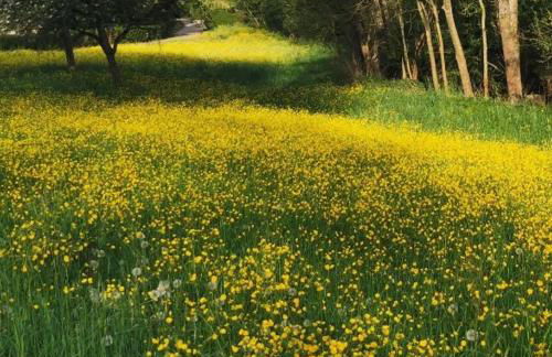 Ferienwohnung Im Auricher Tal - Foto 14