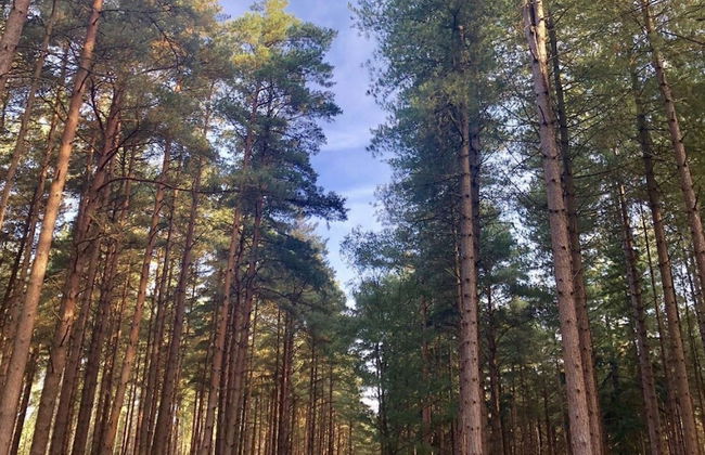 Manor House Mews - Rustic Stable Conversion - Foto 7