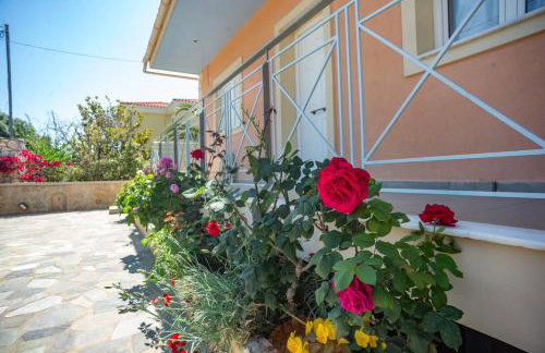 Thea Home - Foto 21