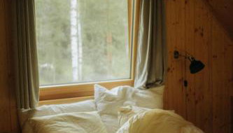 Miło las widzieć - Foto 5