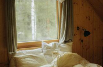 Miło las widzieć - Foto 5