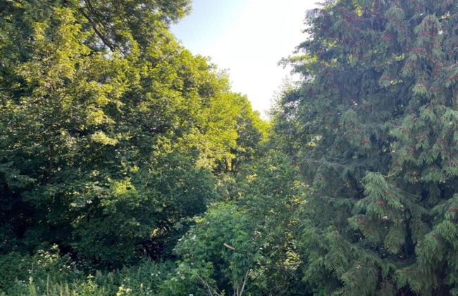 Holiday Home in Wolfsberg by River - Foto 29