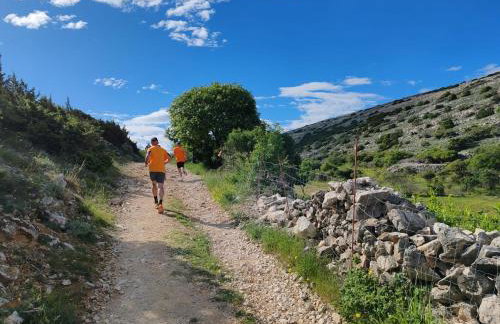 Izzi Mobile Home - Terra Park SpiritoS - Photo 35