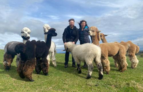 Unique Stay on an Alpaca Therapy Farm with Miniature Donkeys North Wales - Foto 25