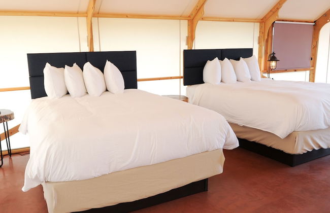 Royal Gorge Cabins - Photo 73