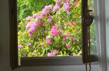 Chambre d'hôtes indépendante à la campagne - Foto 24