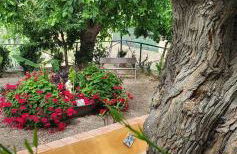 CASA VACANZE FONDACO DI SCILLATO - Foto 26