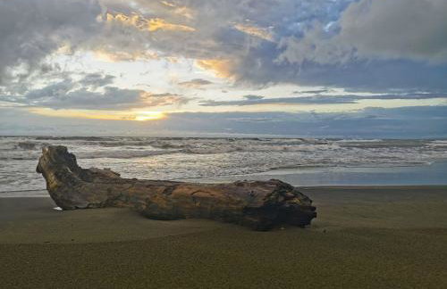 Mare, Roma e Aeroporto - Tutto a portata di mano - Foto 26