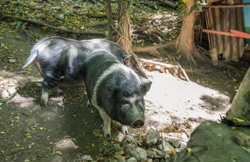 Colleincanto Appartamento Lina - Foto 22