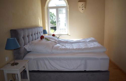 Palmengarten - Foto 27