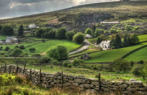 Sand Martin - Foto 26