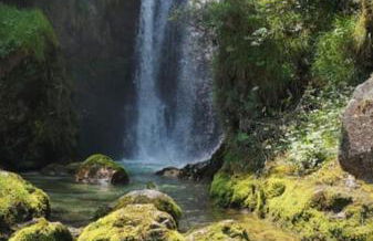 La Rotonda - Foto 16