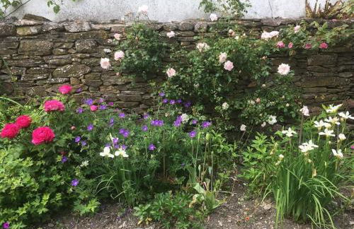 Chain House - Historic and Gorgeous, Spacious and Private - Foto 35