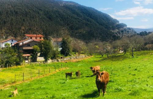 La Galayca - Foto 36