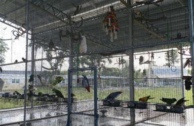 The Sunflower Studio Cottage - Foto 28