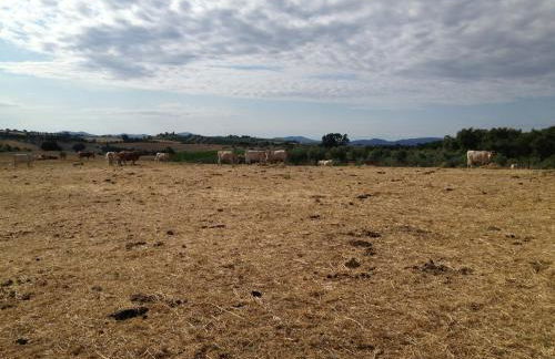 I Puntoni Agriturismo - Foto 56