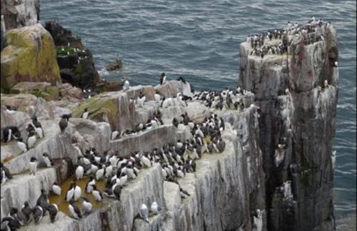 Luxurious & modern on-the-beach family retreat - Foto 57