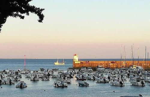 Appartement lumineux avec terrasse vue mer-2ou4personnes- Chbre indépendante - Foto 5