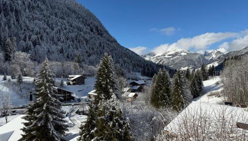 Appt Rénové et Moderne - 3 chambres - Châtel - Multi Pass - MÉNAGE INCLUS - Foto 4