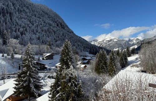 Appt Rénové et Moderne - 3 chambres - Châtel - Multi Pass - MÉNAGE INCLUS - Foto 4