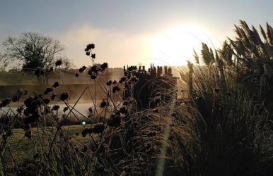 Tiny House in Wonderland - Foto 49