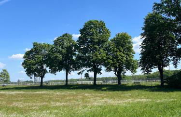 Remise an der Rennbahn - 30 Minuten zum Alexanderplatz und doch im Grünen - Foto 40