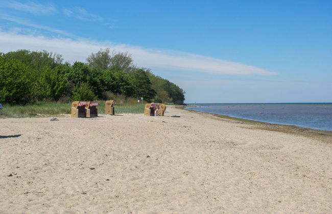 Gollwitzer Park (Insel Poel) - Foto 18