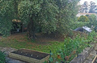 Appartement T3 entre mer et montagne avec beau jardin - Foto 6