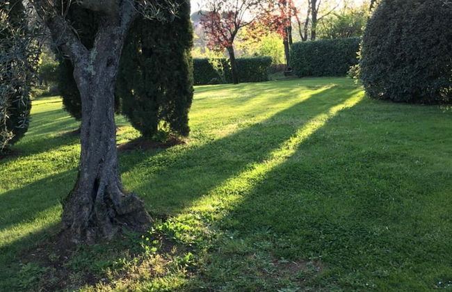 Bio & B Italyke - Foto 31