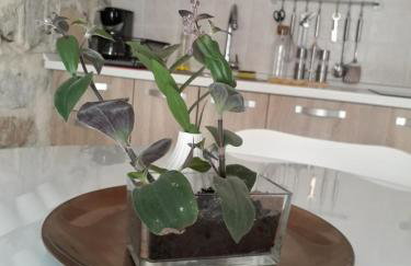 Leut Apartment - Photo 25