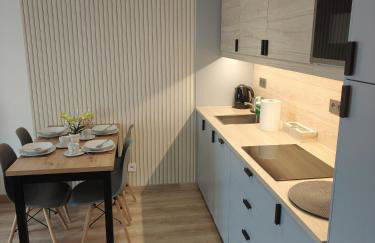 Karkonoska Miejscówka Apartament Szklarska Poręba Centrum Park - Foto 14