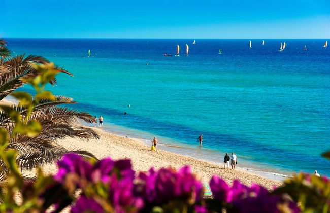 BLUESEA Jandia Luz - Foto 24