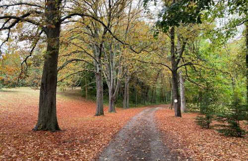Manoir et Appartements avec piscine au Domaine de Bize Mirepoix - Foto 50