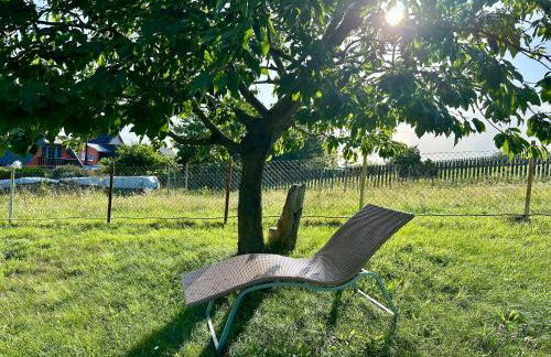 Ferienanlage in Klein Zicker Ferienwohnung 1 - Seeseite - Foto 19