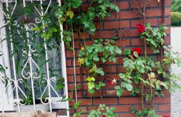 GUESTHOUSE ENNEPETAL - Ferienwohnung im grünen Heilenbecker Tal - Foto 18