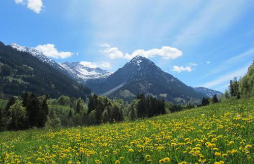 Hornblick FEWO- ab Mai freie Fahrt mit Bergbahnen - Foto 23