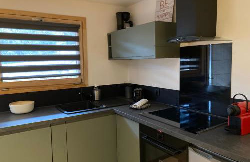 Renovated flat facing Mont Blanc - Photo 14