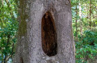 Nordin's LakeHouse, Lakefront Hideaway on Delaware Bay Sleeps 10 - Foto 32