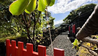 Adega Baía Azul - The essence of Pico - Photo 3