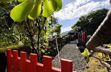 Adega Baía Azul - The essence of Pico - Photo 3