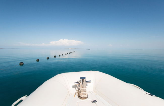 Cygnet Bay Pearls - Foto 26