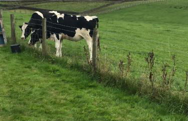 Breeze Place - Foto 9