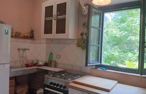 Villa con parco e piscina-Camaiore - Foto 24