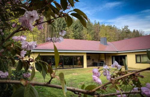 Villa Münchweiler - Foto 12