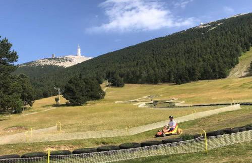 Bastidon La Garrigue - Foto 38