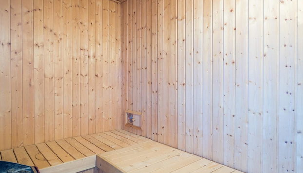 6 Person Holiday Home in Blavand - Foto 2, Sauna