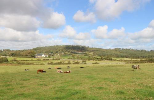 Trefor Ganol - Foto 27